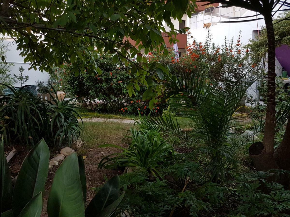 Villa Da Melis 布阿尔库什 外观 照片